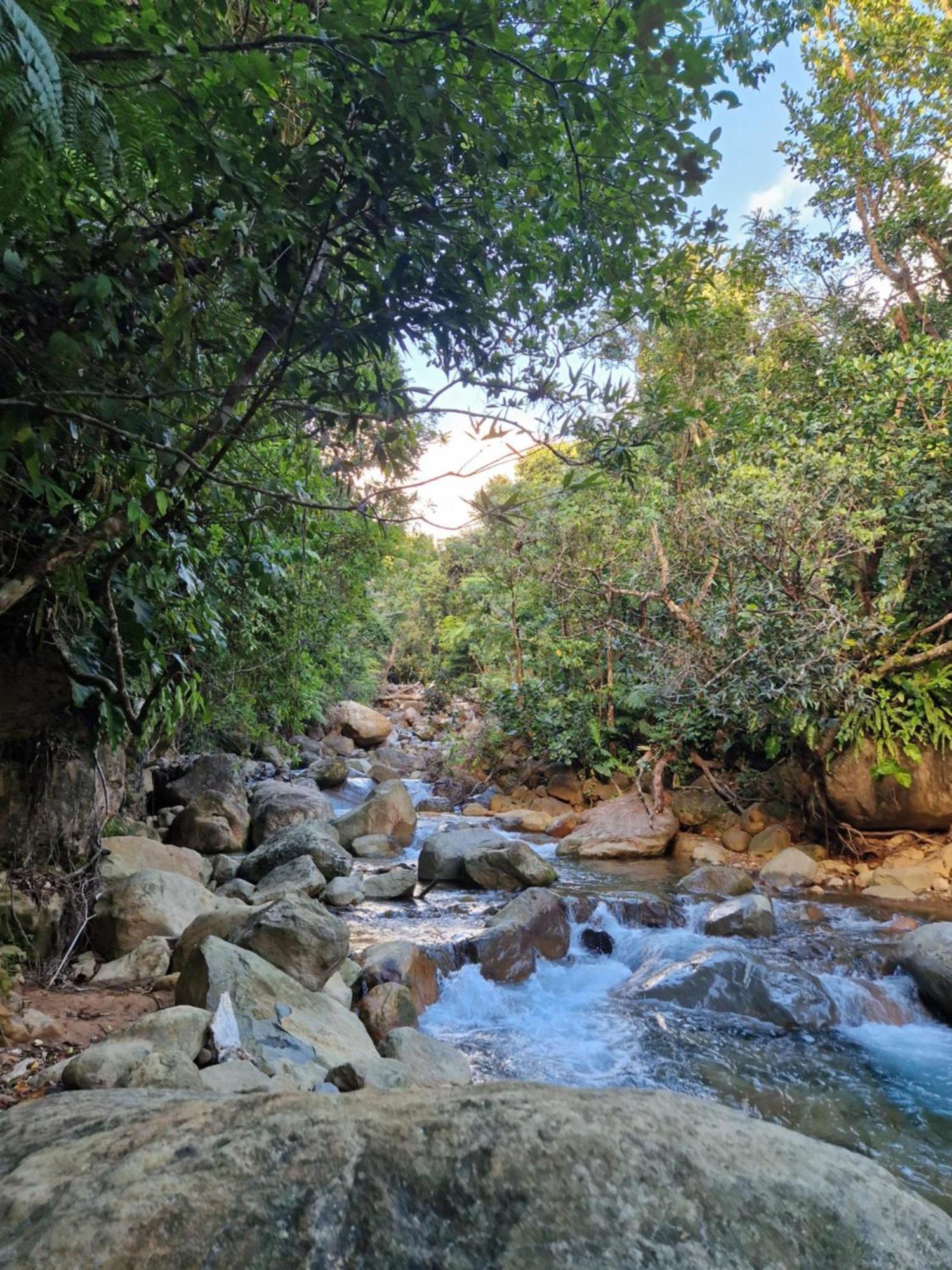 Gites Tho Koba Saint-Claude Dış mekan fotoğraf